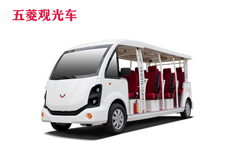 五菱國賓汽油車