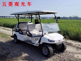 五菱6座高爾夫球車